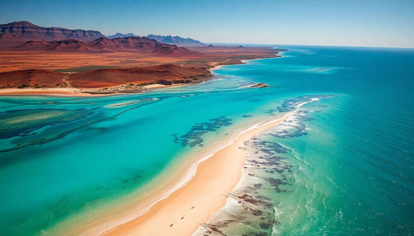 Explore the breathtaking landscapes of Australia, featuring beaches and Outback.